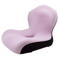 엑스터 프리미엄 인체공학 자세교정 시트 쿠션 방석, 모델E