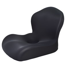 엑스터 프리미엄 인체공학 자세교정 시트 쿠션 방석, 모델A