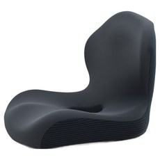 엑스터 프리미엄 인체공학 자세교정 시트 쿠션 방석, 모델I