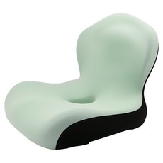 엑스터 프리미엄 인체공학 자세교정 시트 쿠션 방석, 모델G