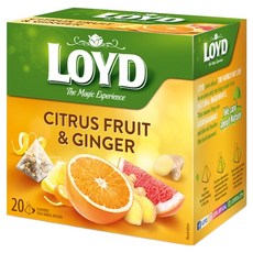 LOYD 시트러스 프룻 앤 진저 인퓨전 티백, 2g, 1개, 20개입
