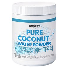 잠백이 퓨어 코코넛 워터 파우더, 400g, 1개