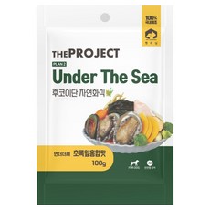 펫러닝 강아지 언더더씨 자연화식 수제 습식사료, 초록잎홍합, 100g, 1개