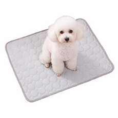 레몽크리프 강아지 고양이 아이스쿨매트, 아이스 그레이, 1개