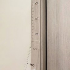 오늘픽 접착식 성장 키재기 눈금 시트지 2p, 투명 투명