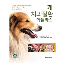 개 치과질환 아틀라스, 범문에듀케이션 범문에듀케이션