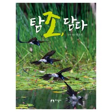 탐조 담다, 양장