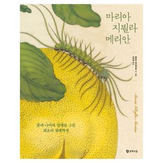 마리아 지뷜라 메리안, 반양장