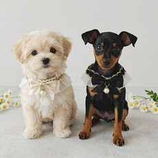 웨이비데이즈 반려동물 레이스 리본 턱받이 목걸이 2종 세트 W265-0254WB, 화이트, 블랙, 1세트