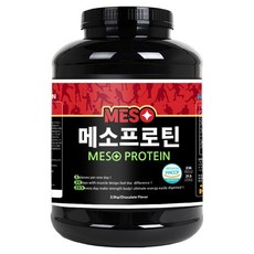 진명뉴트리션 메소프로틴 단백질보충제 초코맛, 2kg, 1개