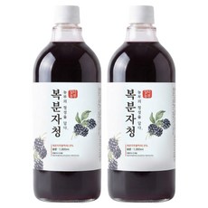 어반데이즈 복분자청, 2개, 1개입, 1L