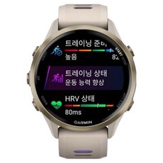 가민 포러너 970 러닝 GPS 스마트워치, 프렌치 그레이 + 인디고, 3.54cm, GPS + 블루투스