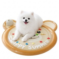 파스텔펫 반려동물 베어 워터 쿨매트, 타입B, 1개