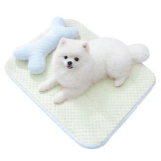 파스텔펫 반려동물 파스텔 허니비 쿨매트, 그린, 1개