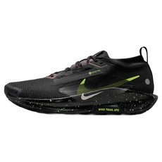 나이키 페가수스 트레일 5 GORE-TEX 운동화 FQ0908-014