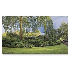 어번던스 책상을 꽉 채우는 데스크매트, St. James's Park #2MP 874007