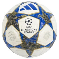 adidas 愛迪達 UCL 專業認證足球, 1個, JD0188