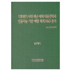 기후위기 시대 재난 재해 대응전략과 인공지능 기반 예방 체계 R&D 분석, 지식산업정보원, R&D정보센터 지식산업정보원, R&D정보센터