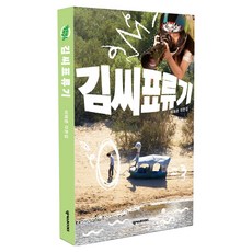 김씨표류기, 넥서스BOOKS, 이해준, 반양장