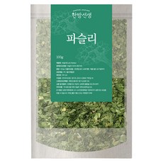 한방선생 파슬리 후레이크, 100g, 1개