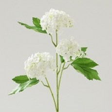 모던하우스 미니 목수국 스프레이 65cm, 화이트, 1개