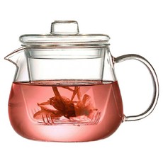 리브앤샵 내열 유리 거름망 일체형 티 포트, 투명, 1개, 500ml 투명, 1개, 500ml