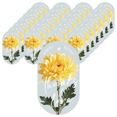 베스트팩 가정의달 카네이션 선물포장 블루밍 데이 라운드 사각택, 무드옐로우, 40개