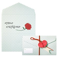 투영디자인 메시지 포인트 편지카드 5p 세트, 카네이션사랑, 1세트