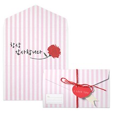 투영디자인 메시지 포인트 편지카드 5p 세트, 카네이션감사, 1세트