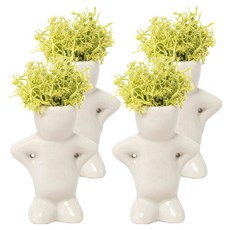 minhwashop 苔蘚娃娃花盆製作套組 I250079A