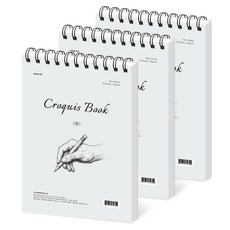 페이퍼릿 크로키북 70p 105g, A5, 3개