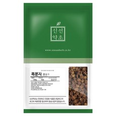 신선약초 국내산 말린 건조 복분자 열매 소포장, 100g, 1개