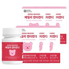 Jang In EVERYDAY FAMILY 木糖醇潔牙糖, 30g, 6個