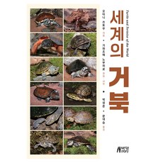 세계의 거북, 반양장