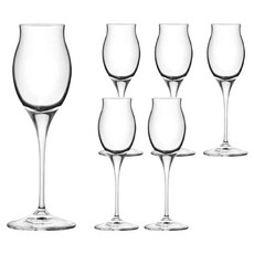 RCR Invino 甜酒杯, 6個, 100ml