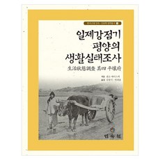 일제강점기 평양의 생활실태조사, 양장