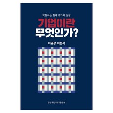 기업이란 무엇인가?:박동하는 현대 국가의 심장, 이규상,이은상 저, 경상국립대학교출판부