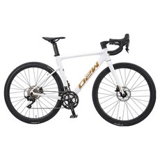 오투휠스 RN1 로드자전거 510 방문설치, 화이트, 168cm, 1개