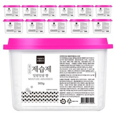 GaseongbigaBeuraendeuda 揮別濕氣 香氛除濕劑 依蘭依蘭香, 300g, 12個