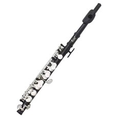 Muziner Piccolo 入門初學者便攜式高音管樂器