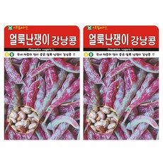 아람종묘 얼룩난쟁이 강낭콩 씨앗 종자, 2개