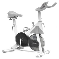 이고진 스마트 마그네틱 스피닝 바이크, 화이트, 스마트 250s 화이트, 스마트 250s