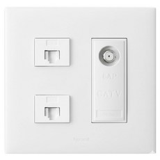 Legrand 羅格朗 Apela SIMPLE 白色 雙聯用 8P+8P+CATV1孔 2路8db 嵌入式模組, 1個