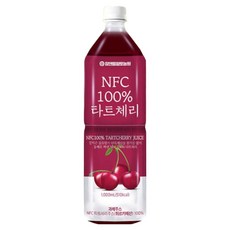 참앤들황토농원 NFC착즙 타트체리 주스, 1L, 1개