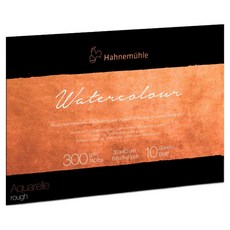 Hahnemuhle The Collection 水彩紙 黃木紋膠裝素描本 300g TTWR02