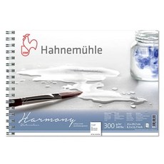 Hahnemuhle Harmony 精靈木紋線圈素描本 300g HR11