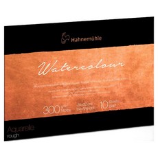 Hahnemuhle The Collection 水彩刀黃木墊型素描本 300g TTWR01
