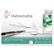 Hahnemuhle Harmony 細紋膠裝素描本 300g HH01
