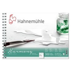 Hahnemuhle Harmony 素描線圈素描本 300g HH11, A4, 1個, 12張