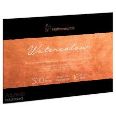 Hahnemuhle The Collection 水彩刀細紋膠裝素描本 300g TTWH01